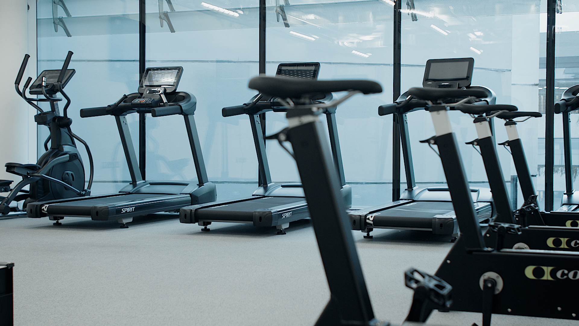 Cardio zone with treadmills and Concept2 bike ergs beside floor-to-ceiling windows